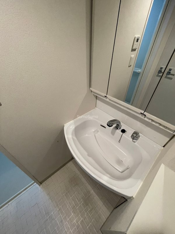 プレサンスOSAKA DOMECITYワンダーの洗面所