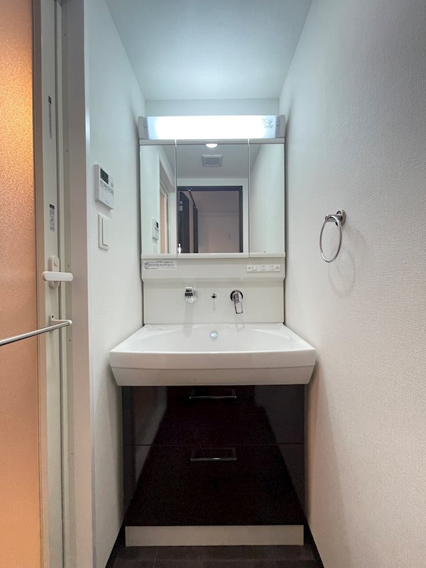 S-RESIDENCE淀屋橋の洗面所