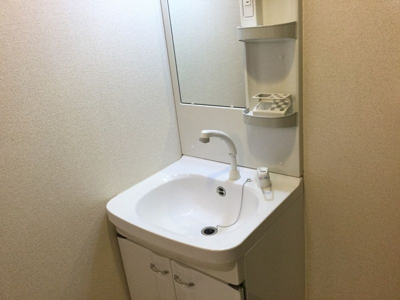フジパレス石津川サウスの洗面所