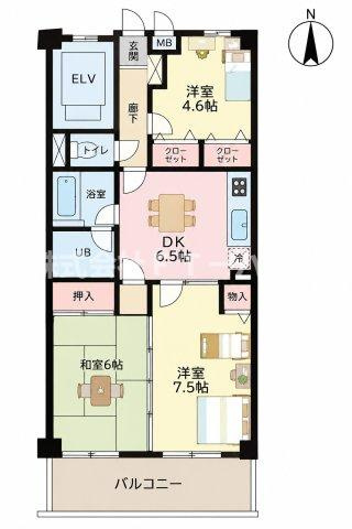 クリオーネ曽谷の間取り