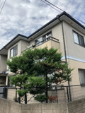 クリーンハイツ豊玉1号棟の画像