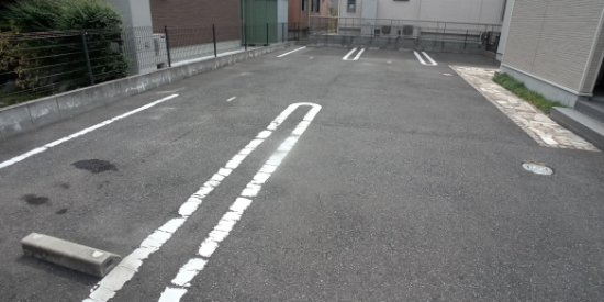 レオネクストキャロットのその他