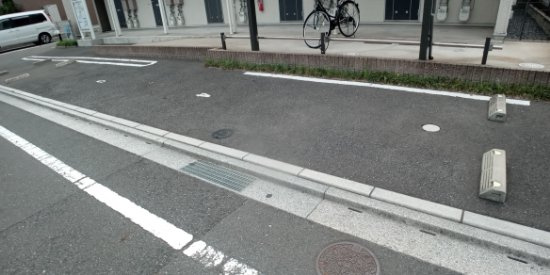 レオネクストキャロットのその他