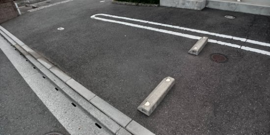 レオネクストキャロットのその他