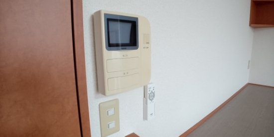 レオパレス岩瀬のその他