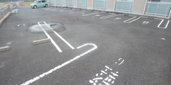 レオネクストパストラルのその他
