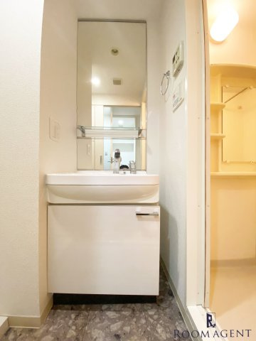 プレサンスNAGOYA桜通ビッグビートの洗面所