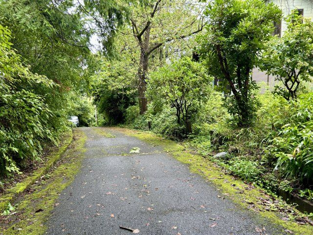 伊豆エメラルドタウン別荘地の前面道路含む現地写真