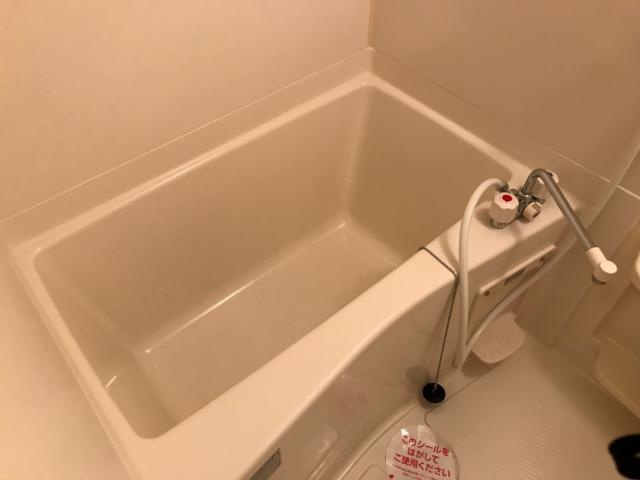 バス