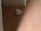 コテージくまののその他