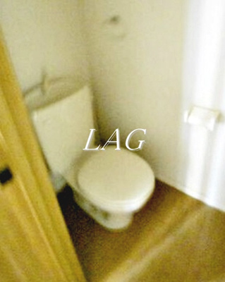 【トイレ】 | ブライズ南林間 | トイレです。