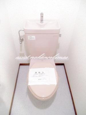 ミレニアム中野のトイレ