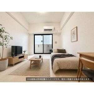 S-RESIDENCE名古屋菊井alineの内装