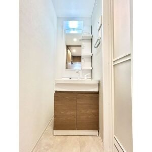 S-RESIDENCE名古屋菊井alineの洗面所