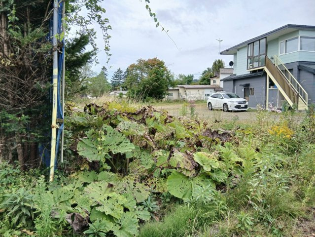 阿寒IC至近でアクセス軽快！132坪超のゆとりで憧れの平屋や庭を☆の外観|日当たり・風通し良好！のんびり暮らせる静かな住環境