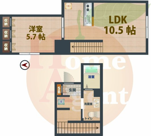 【間取り】 | ルミエール　メゾン南阿佐ヶ谷 | 1LDKのお部屋です。