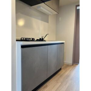 プレイズシード浅間町のキッチン