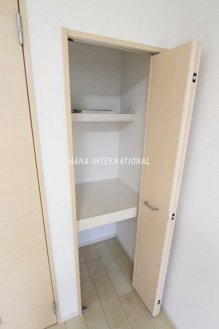 プラシードの収納