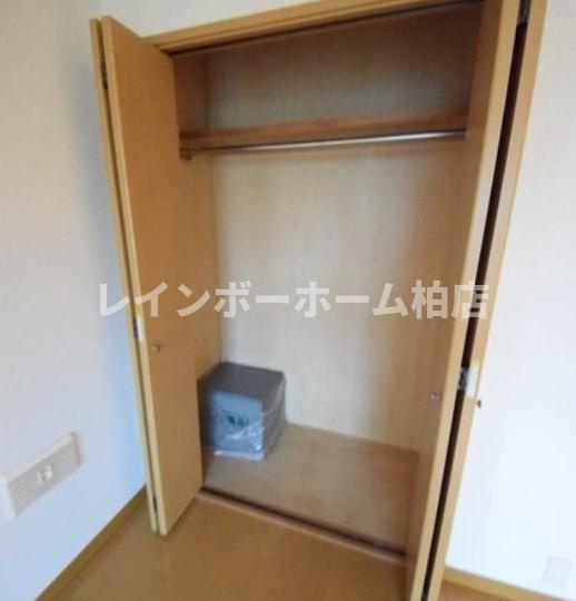 特典：仲介手数料が50％OFFです‼の収納|収納があります