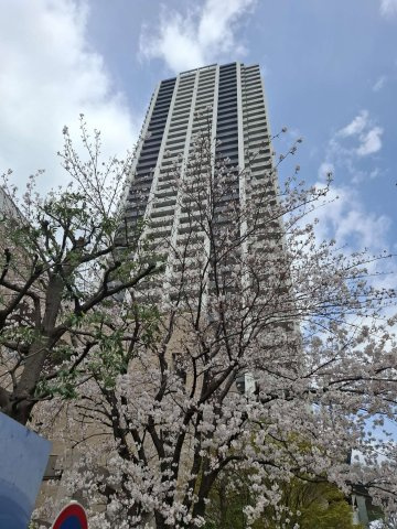 葛飾区金町６丁目の賃貸マンションの外観