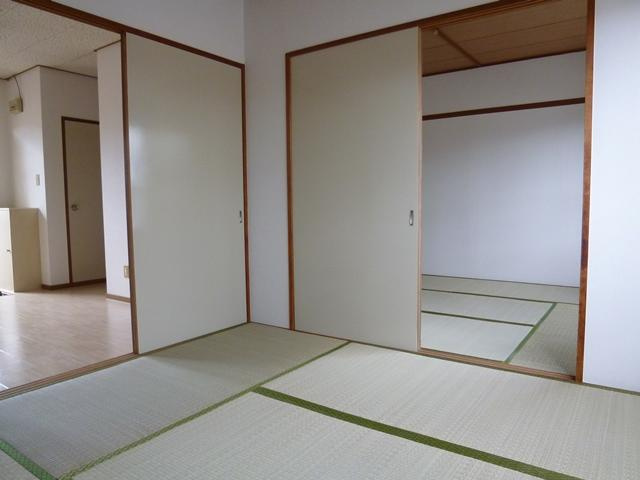 セントポーリア