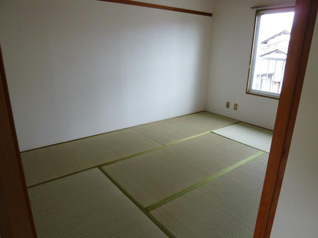 セントポーリア