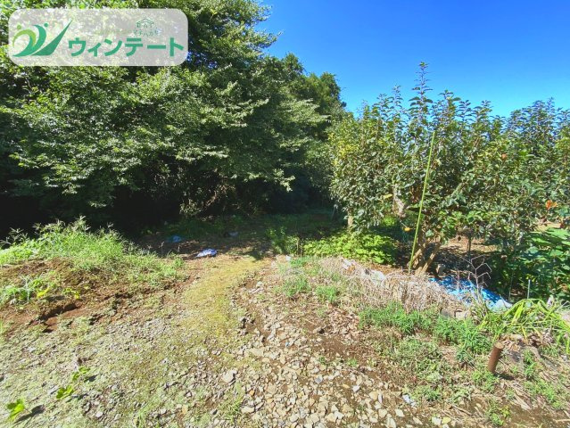 つくば市吉沼6　売地の周辺|のどかな環境にある落ち着いた雰囲気です(^^♪