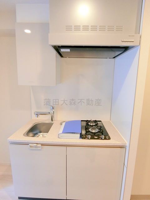 プラウドフラット西蒲田のキッチン|2口ガスシステムキッチン