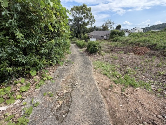 大牟田市大字倉永　中古一戸建ての前面道路含む現地写真