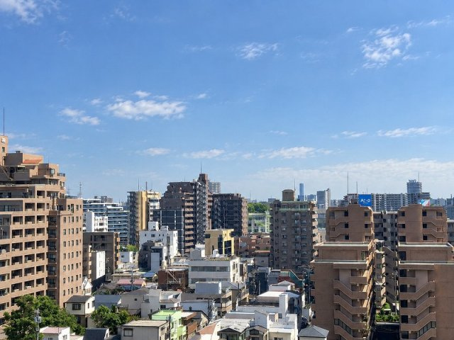 ライオンズプラザ西大島駅前の展望|ライオンズプラザ西大島駅前：南向きにつき陽当り・眺望良好！