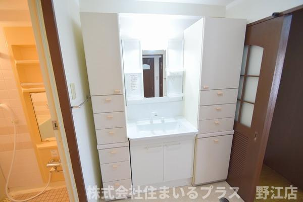 ロイヤルコート生江の洗面所