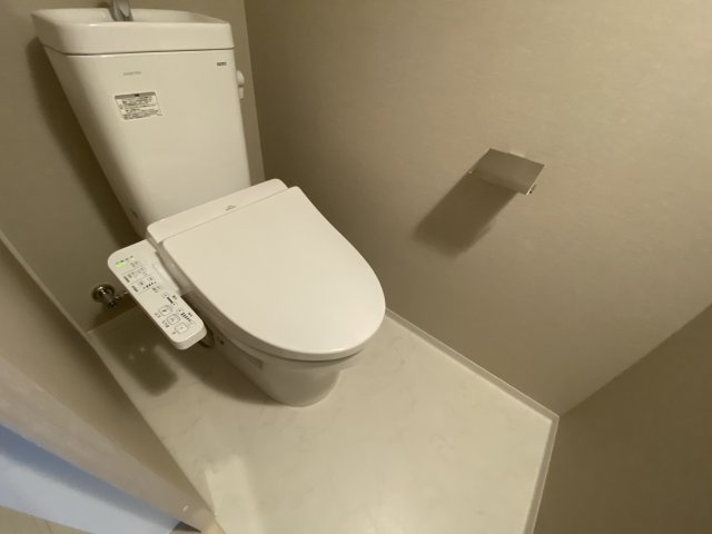 豊島区駒込２丁目の賃貸マンションのトイレ