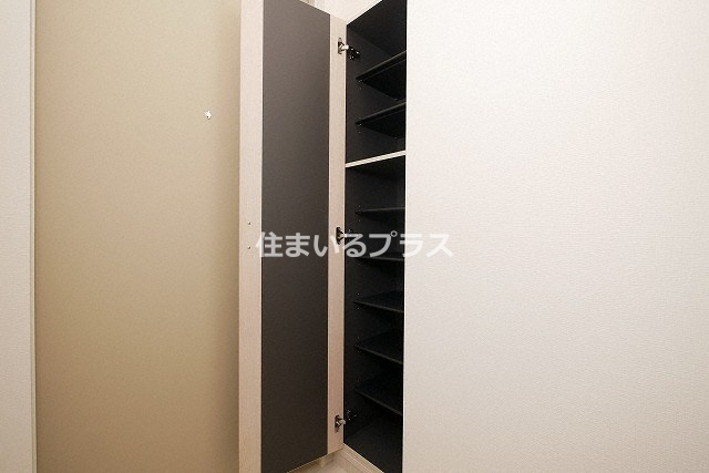 サラロタスコフレの収納