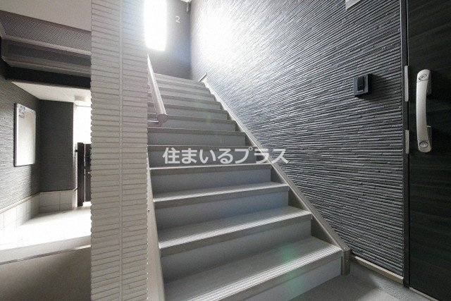 サラロタスコフレのその他
