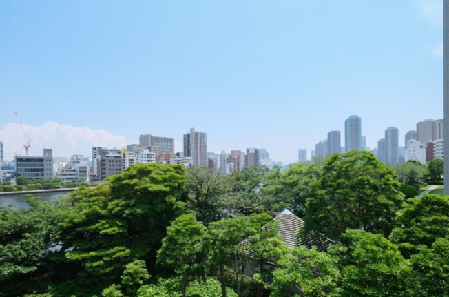 【展望】 | セザールスカイリバー