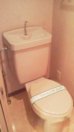 落ち着いた色調のトイレです♪