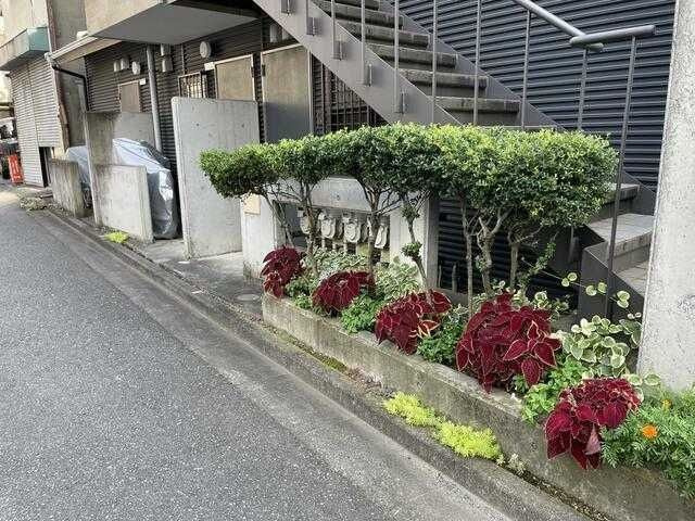 ピュアハイツのエントランス
