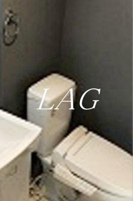 【トイレ】 | ルノン羽田 | トイレです。