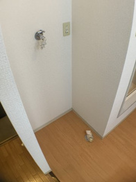 カーサピネータのその他