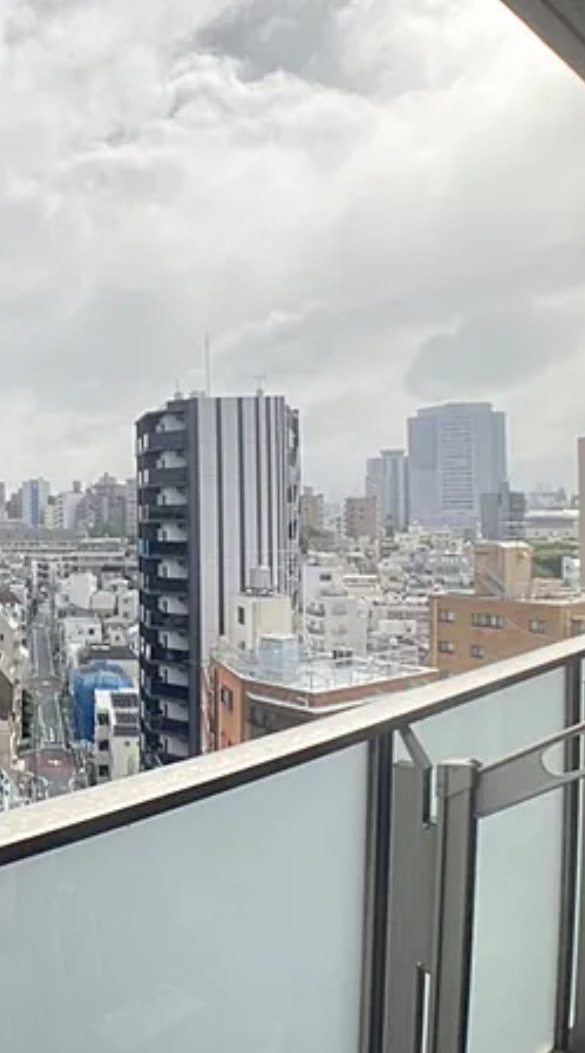 ルフォン文京本駒込の展望
