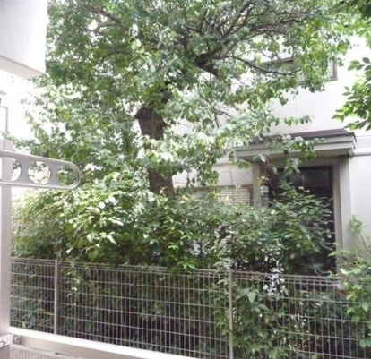 グリーンパルの展望