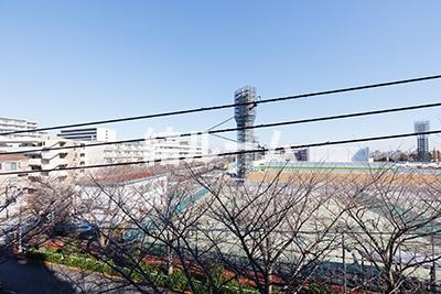 北区西が丘３丁目の賃貸マンションの展望