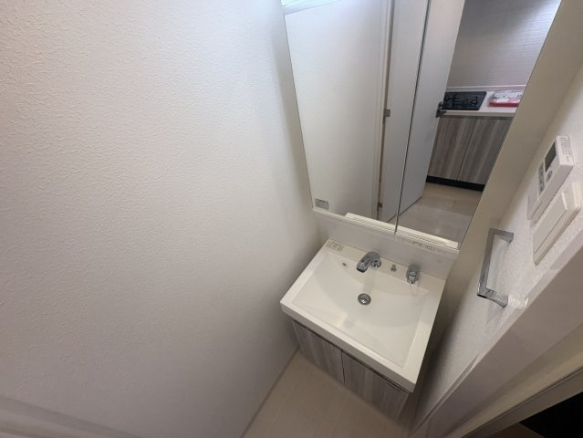 S-RESIDENCE江坂Eminenceの洗面所