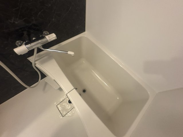 S-RESIDENCE江坂Eminenceの浴室