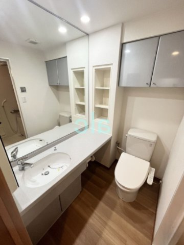 新宿区新宿５丁目の賃貸マンションの洗面所|同仕様