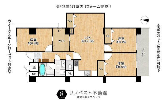 弥刀グリーンマンションの間取り|全居室収納+大容量ウォークスルークローゼット完備◎
スーパーアフロ友井店徒歩約5分♪
