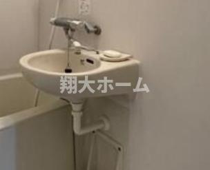 ワイズル・リオン東京墨田の洗面所