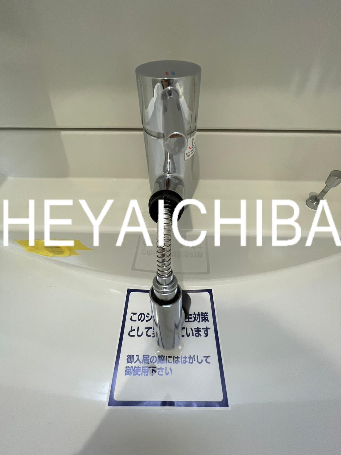ライドオンタイムマスコウの洗面所|シャワー付き洗面台