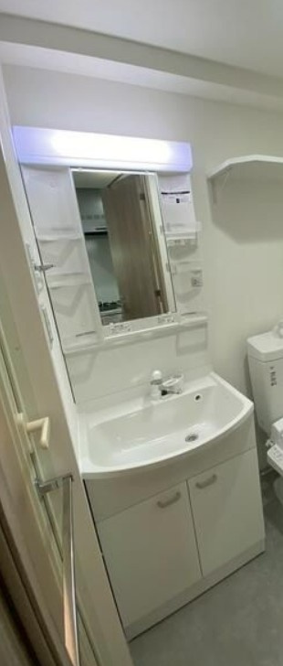 エストゥルース横浜吉野町Ⅱの独立洗面台