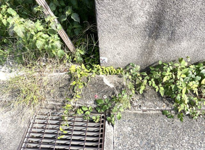 【その他】 | 左京区静市市原町　注文住宅　建築条件なし　土地 | 【境界標】